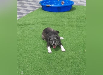 Momy- ist bereit für ihr Leben