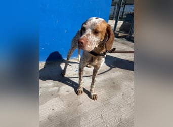 Tinetta wünscht sich ein sportliches Zuhause