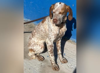 Tinetta wünscht sich ein sportliches Zuhause