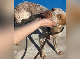 Tinetta wünscht sich ein sportliches Zuhause