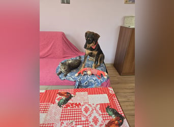 Nuri sucht ihr Zuhause