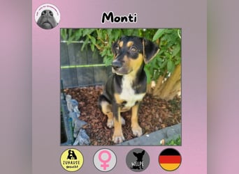 Monti sucht ihr Zuhause
