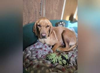 Ajani BE- hübsche Mama auf der Suche nach eine Zuhause