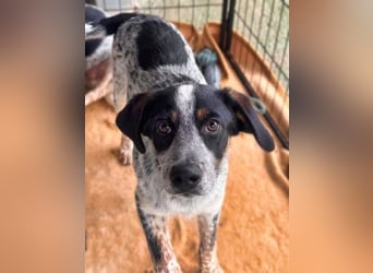 Reserviert - Oceano möchte endlich die Welt entdecken