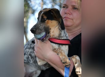 Ornix - Farbenspiel des Winds