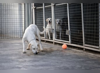 Marcella wartet ganz vorsichtig auf ihre Chance