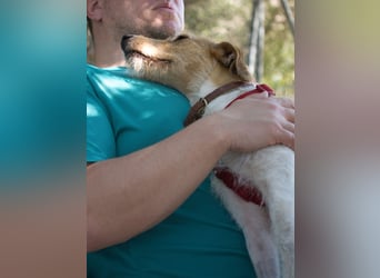 Selene - ein Engel auf 4 Pfoten