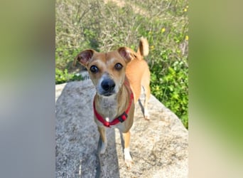 RESERVIERT - Mammola ist bereit für die großen Abenteuer