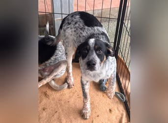 Reserviert - Oceano möchte endlich die Welt entdecken