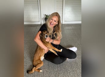 Traurige Bella  kann in der Südpfalz  besucht werden
