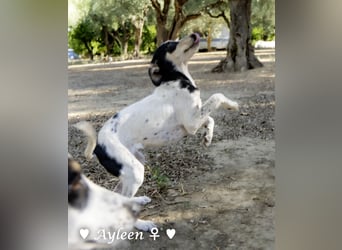 Ayleen und Layla suchen ein Zuhause