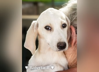 Roberta und Robbie, f.,  suchen eine Familie