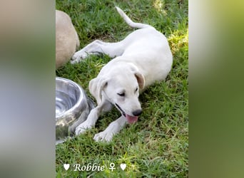 Roberta und Robbie, f.,  suchen eine Familie