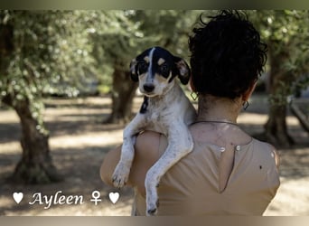 Axel und Ayleen suchen ein Zuhause