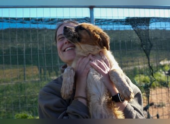 Elias, Evi, Elli und Eros suchen ab Ende März ein Zuhause