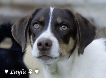 Ayleen und Layla suchen ein Zuhause