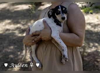Axel und Ayleen suchen ein Zuhause