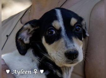 Axel und Ayleen suchen ein Zuhause