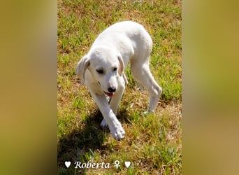 Roberta und Robbie, f.,  suchen eine Familie