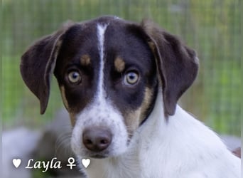 Ayleen und Layla suchen ein Zuhause