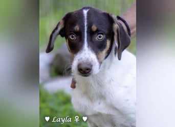 Ayleen und Layla suchen ein Zuhause