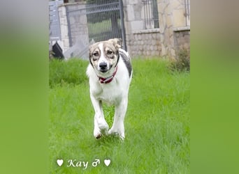 Kea  und Kay auf der Suche nach ihrer Familie