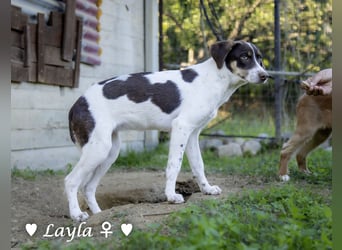 Ayleen und Layla suchen ein Zuhause
