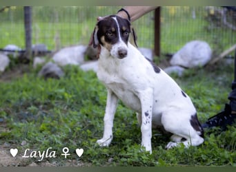 Ayleen und Layla suchen ein Zuhause