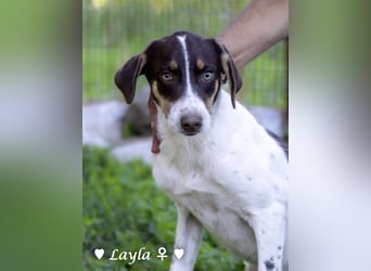 Ayleen und Layla suchen ein Zuhause