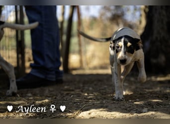 Axel und Ayleen suchen ein Zuhause