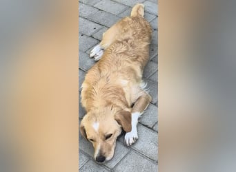 Elli - die Mütter bleiben immer zurück