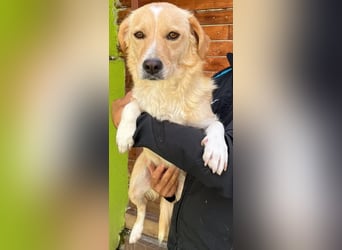 Elli - die Mütter bleiben immer zurück