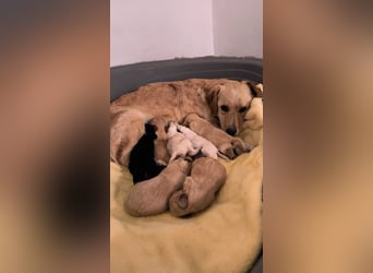 Elli - die Mütter bleiben immer zurück