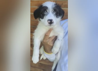Fiona - hatte Glück im Unglück