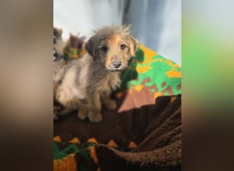 Christoph sucht ein warmes Zuhause - bist du es ?