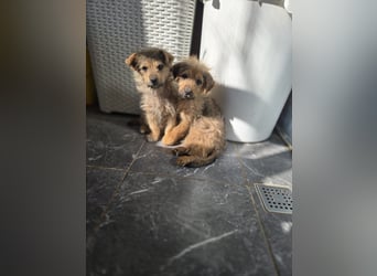 Christoph sucht ein warmes Zuhause - bist du es ?