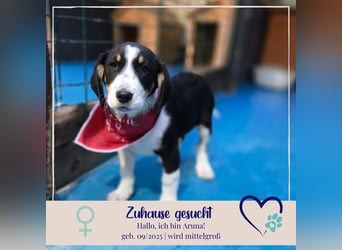 Aruna sucht dich - ja dich