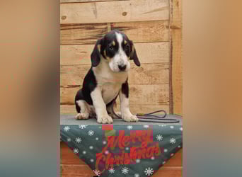 Aruna sucht dich - ja dich