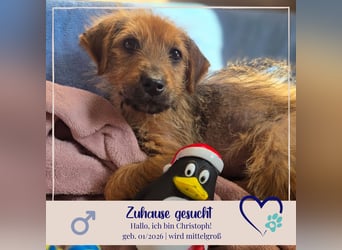 Christoph sucht ein warmes Zuhause - bist du es ?