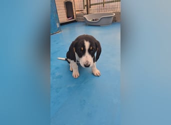 Aruna sucht dich - ja dich