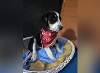 Aruna sucht dich - ja dich