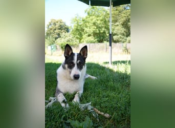 Gemütliche Laura