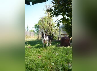Gemütliche Laura
