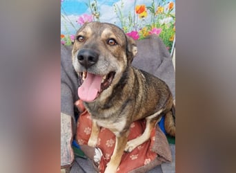 Alex (2) munterer Senior mit viel Herz