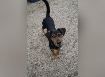 Neymar VA vorsichtig aber mit großem Herz