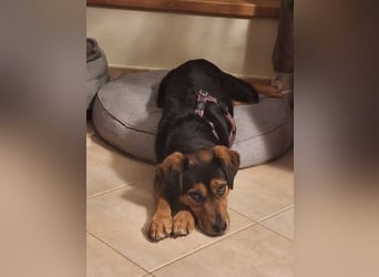 Neymar VA vorsichtig aber mit großem Herz