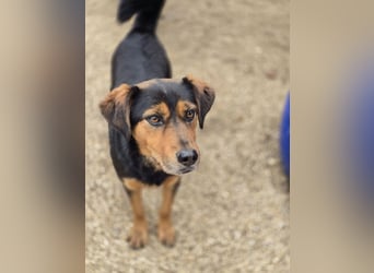 Neymar VA vorsichtig aber mit großem Herz