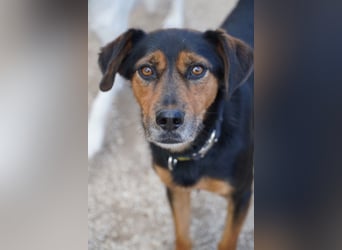 Neymar VA vorsichtig aber mit großem Herz