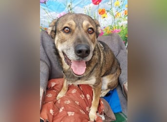 Alex (2) munterer Senior mit viel Herz