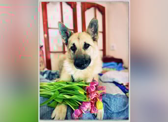 Eine echte Seele, auf der Suche nach ihren Seelens-Menschen!